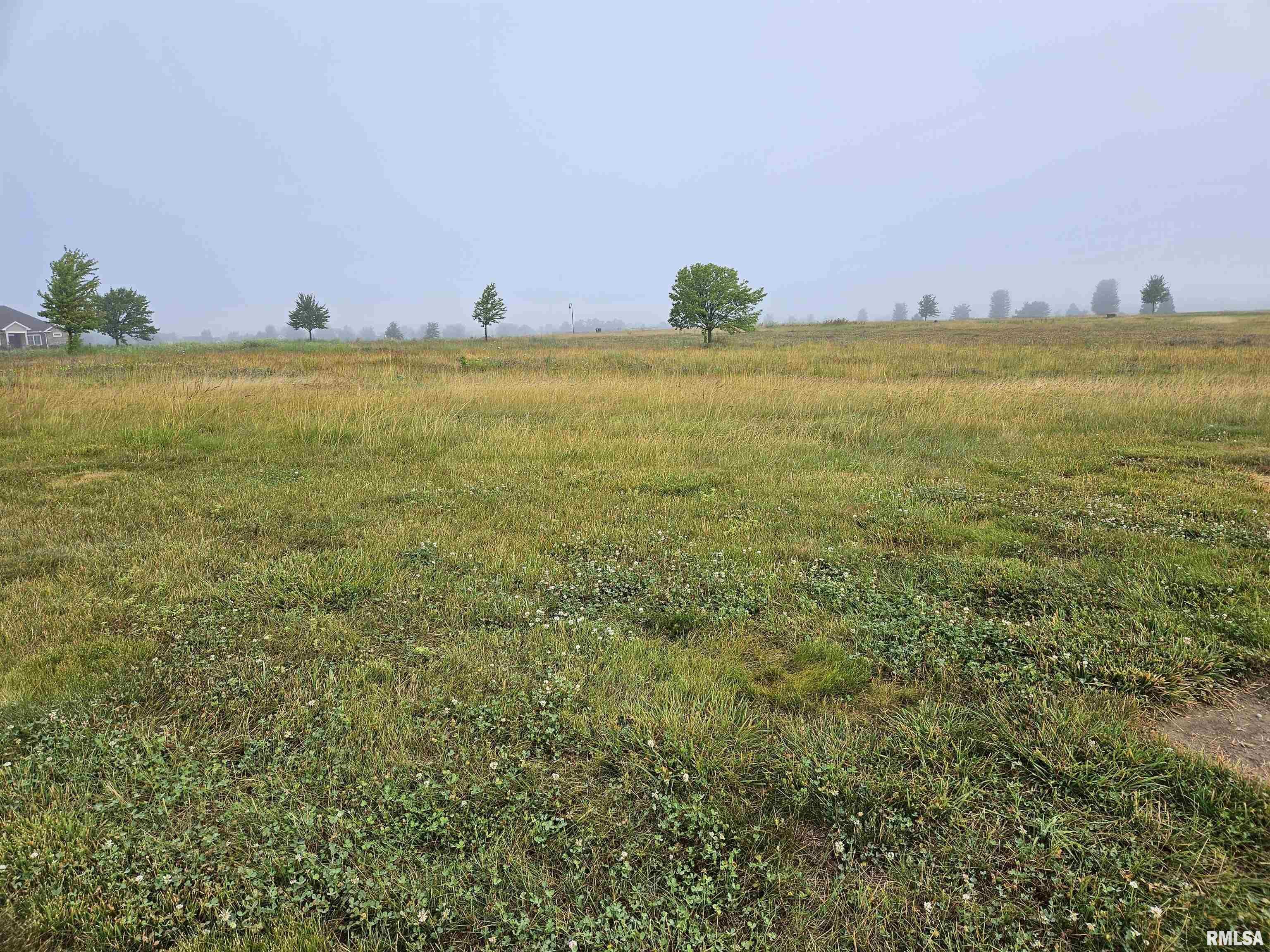 818 Ring Drive  Metamora IL 61548 photo