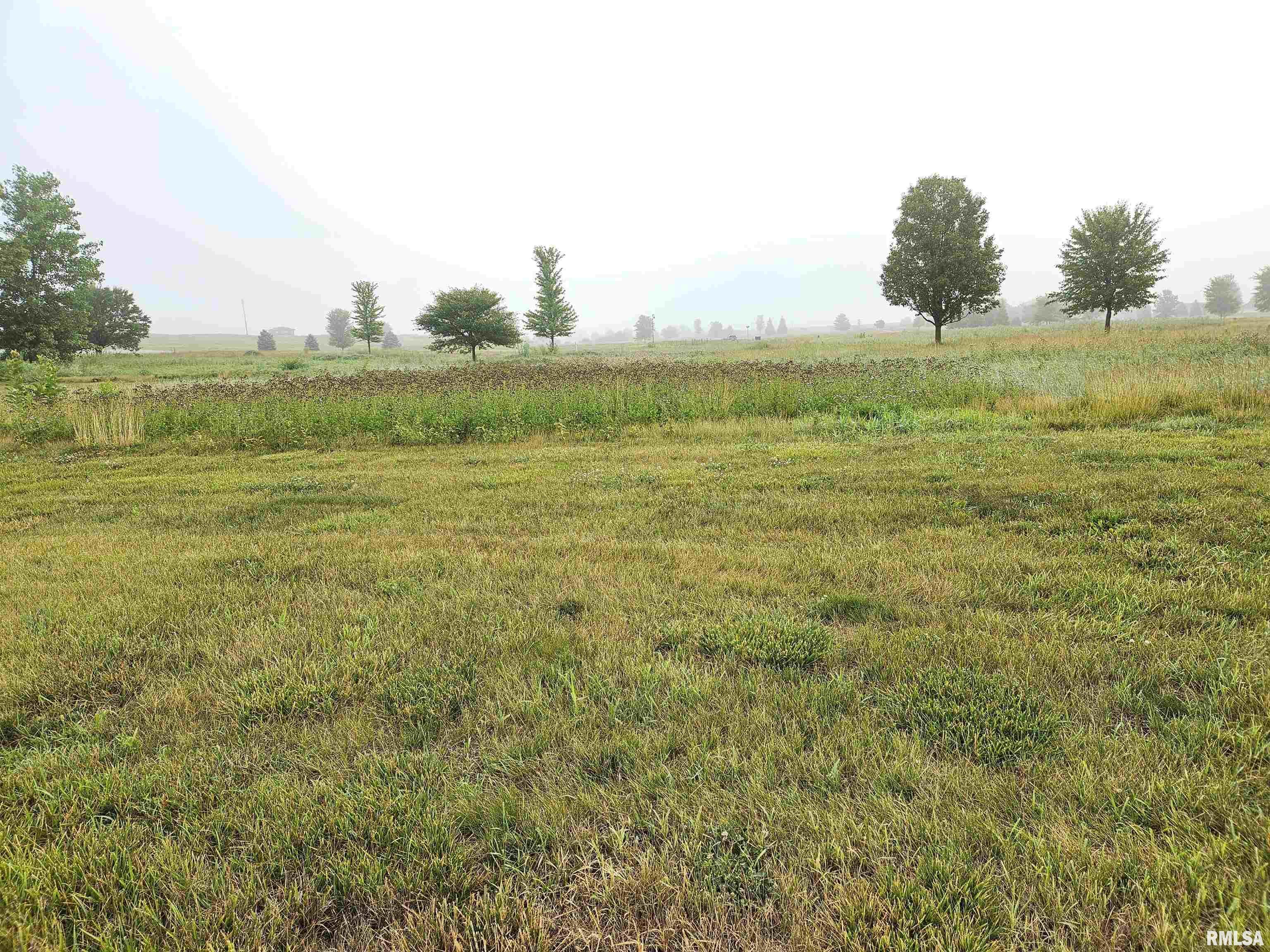 Property Photo: Lot 17 Ring Drive IL 61548