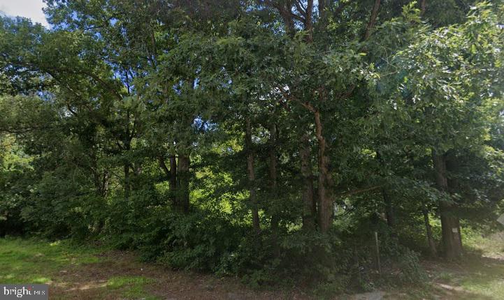 Property Photo:  28245 Fisher Road  DE 19968 