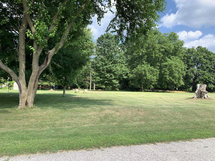 Property Photo:  Lizzie Avenue  MI 49421 