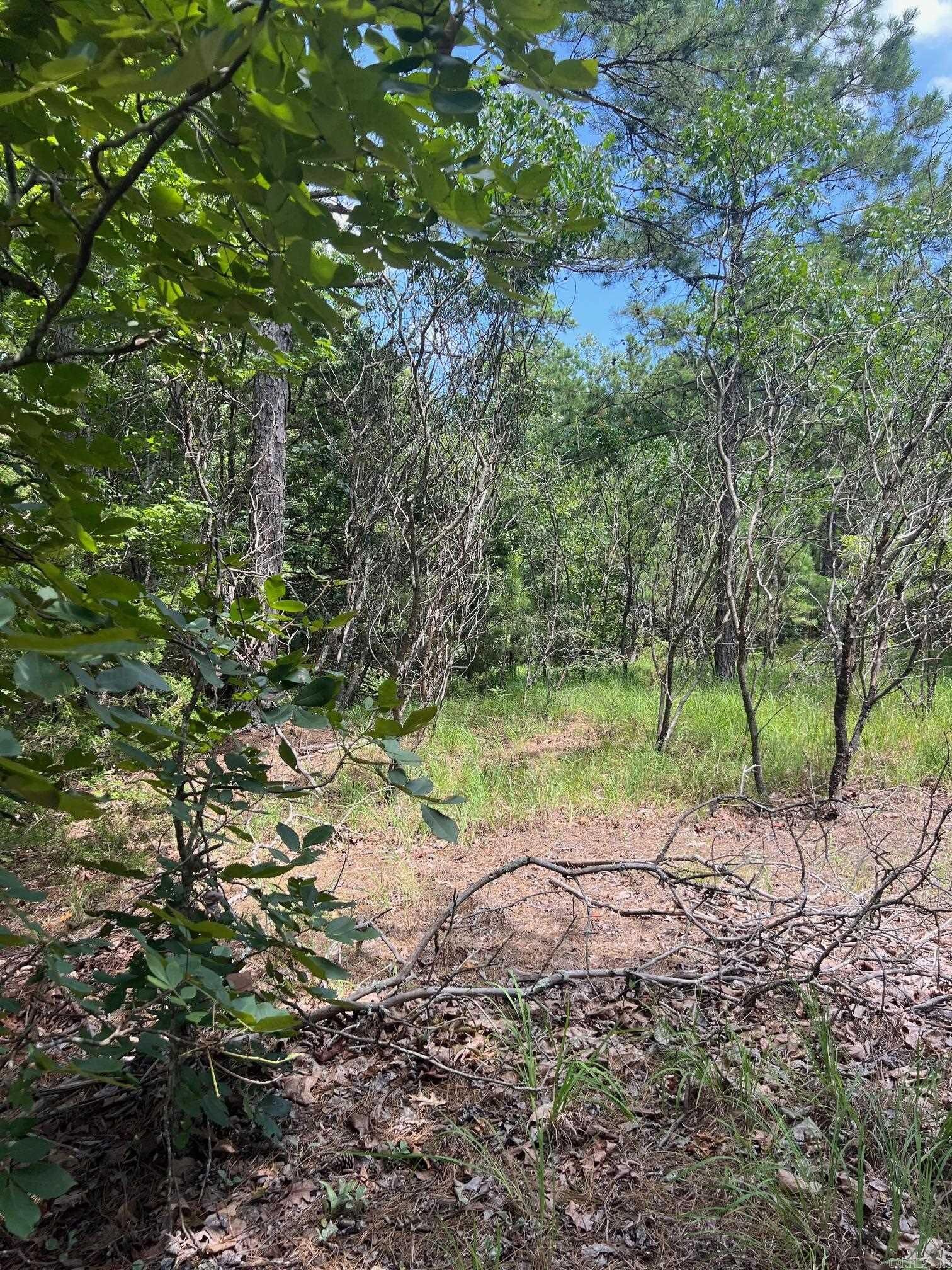 Property Photo:  000 Burnt Ridge  AR 72153 
