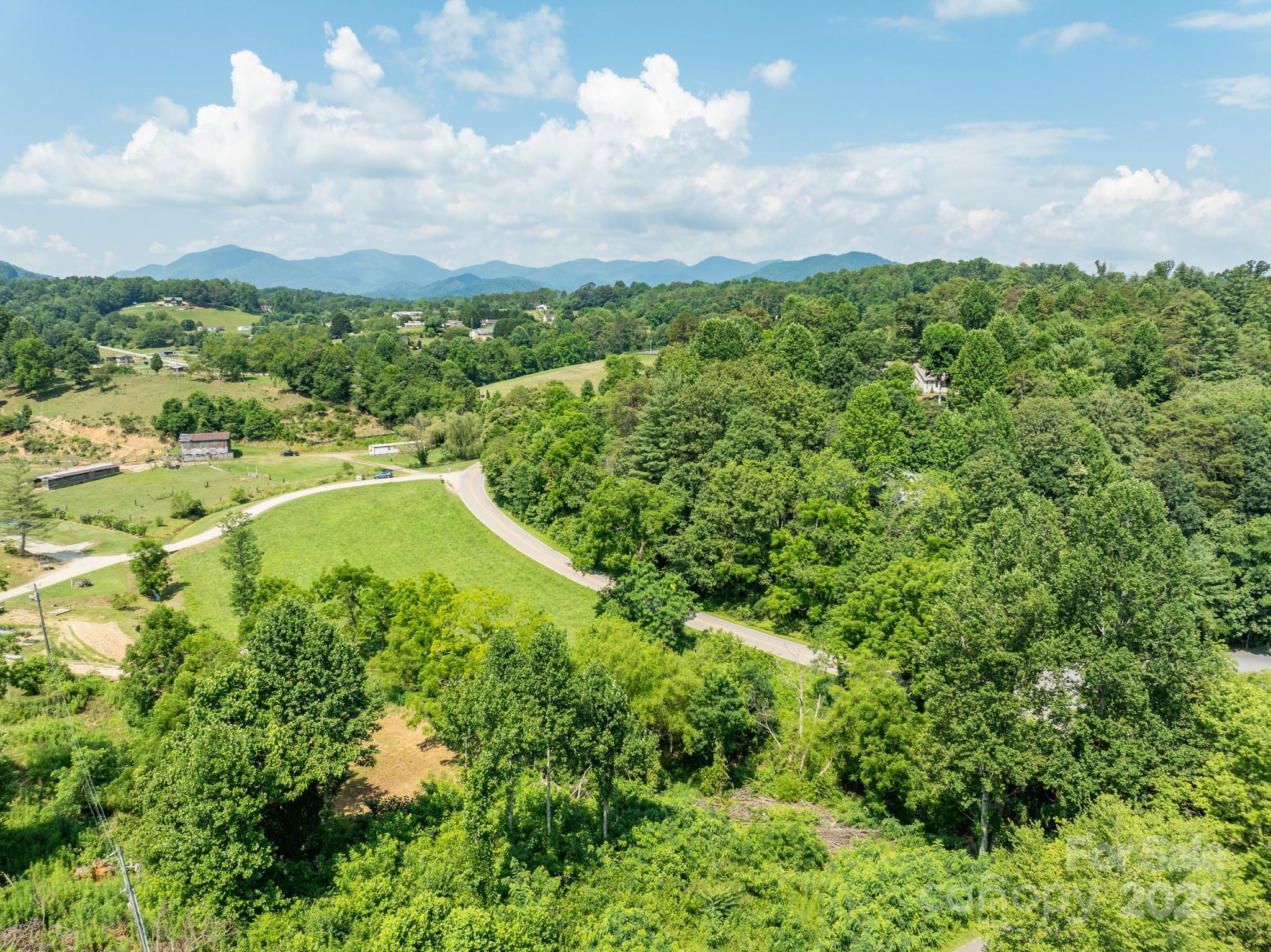 Property Photo:  99999 Goughes Branch Road  NC 28748 
