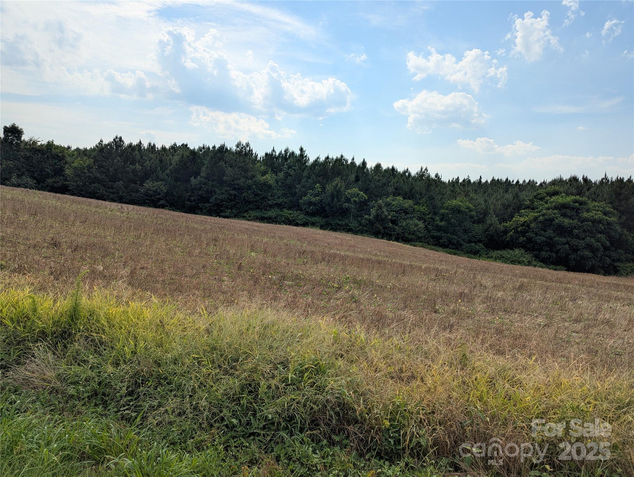 Property Photo: 1455 Blonnie Ross Road NC 28135