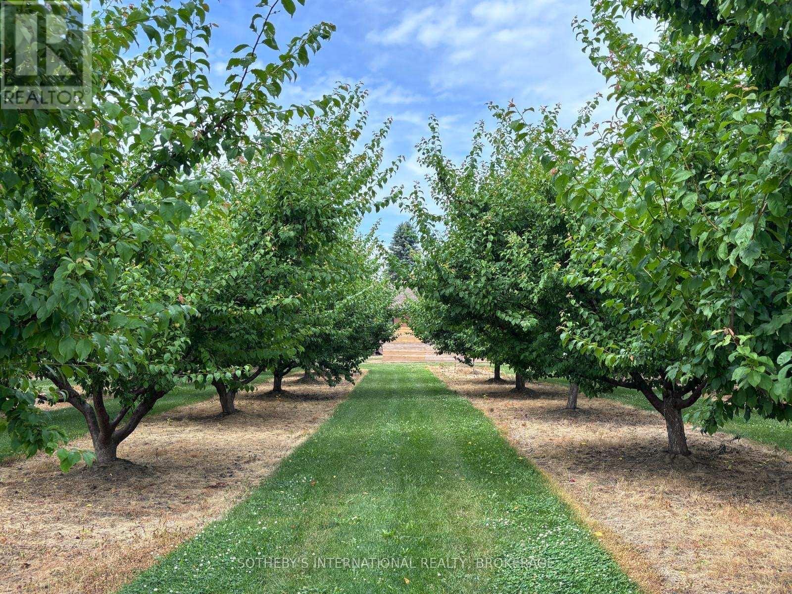 Property Photo: 540 Concession 1 Road ON L0S 1J0