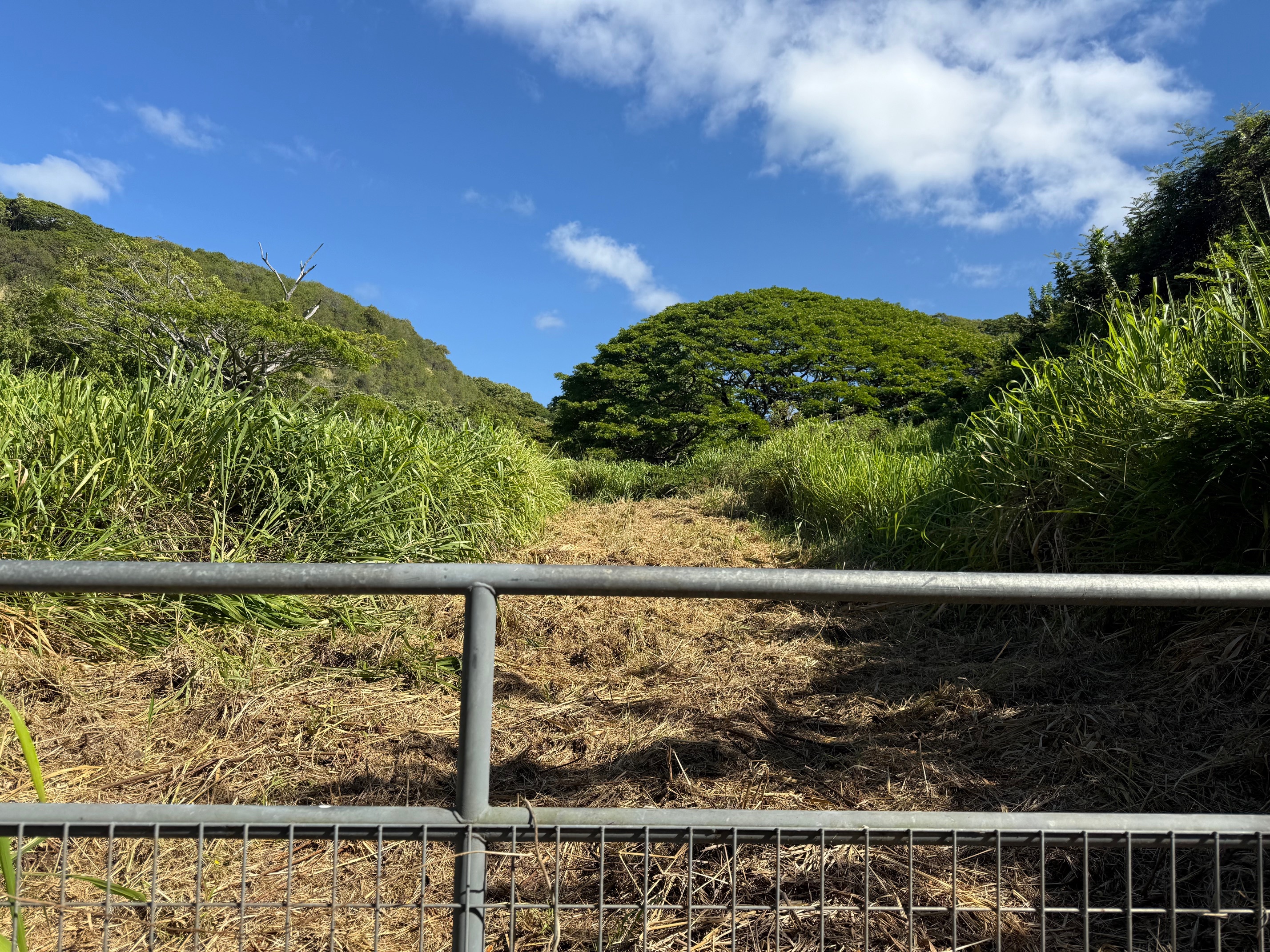 Property Photo: Hilea Rd HI 96772