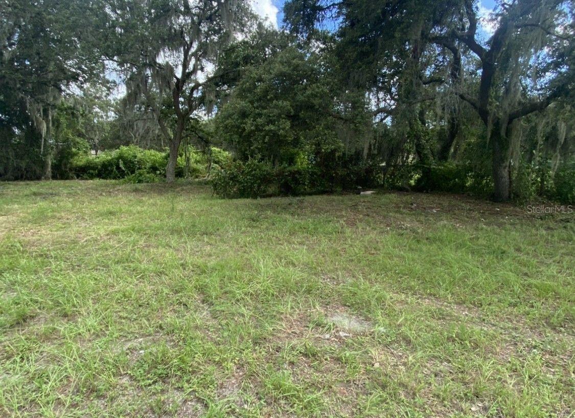 Property Photo: 33128 Forest Ridge Road FL 32720