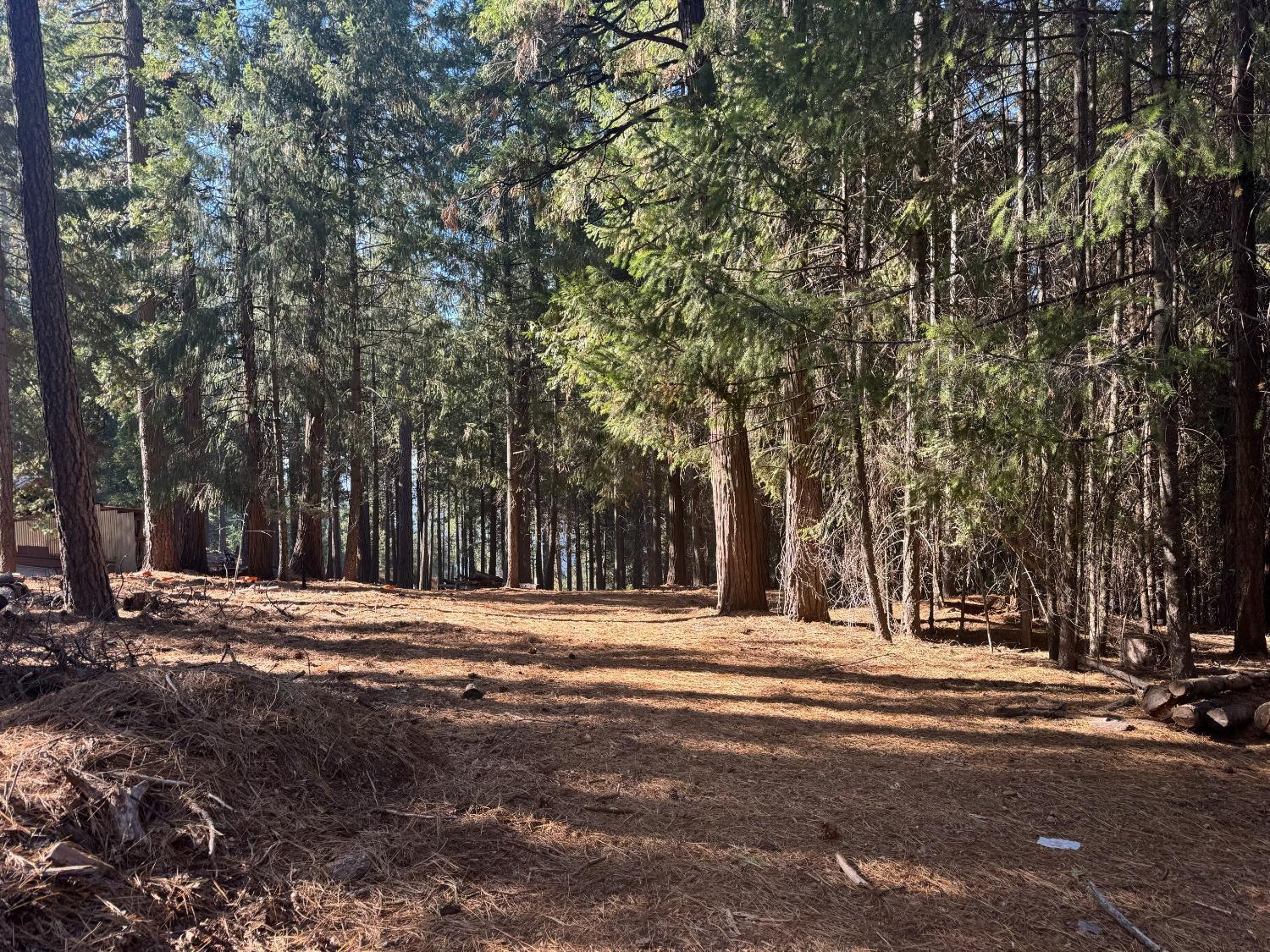Property Photo: 5497 Pine Ridge Drive CA 95636