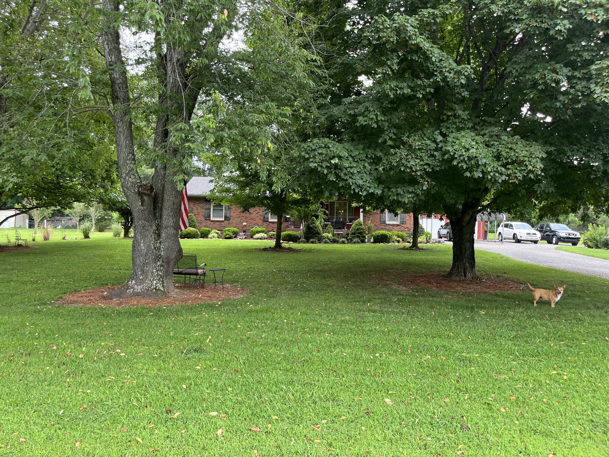 Property Photo: 337 Raymond Hodges Rd TN 37048