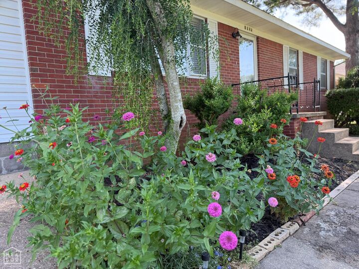 Property Photo:  1905 Glendale Street  AR 72450 