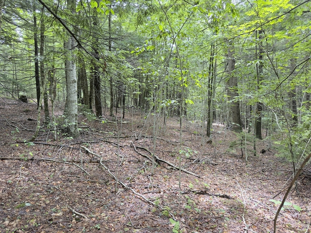 Property Photo:  0 John Ford Road  MA 01330 