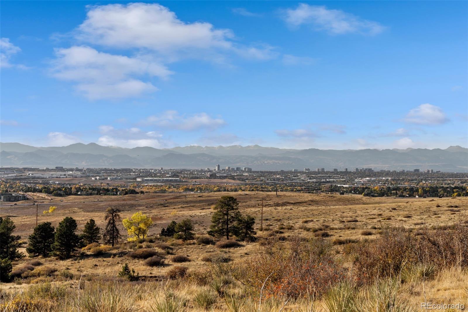 Property Photo:  13500 Pine Drive  CO 80138 
