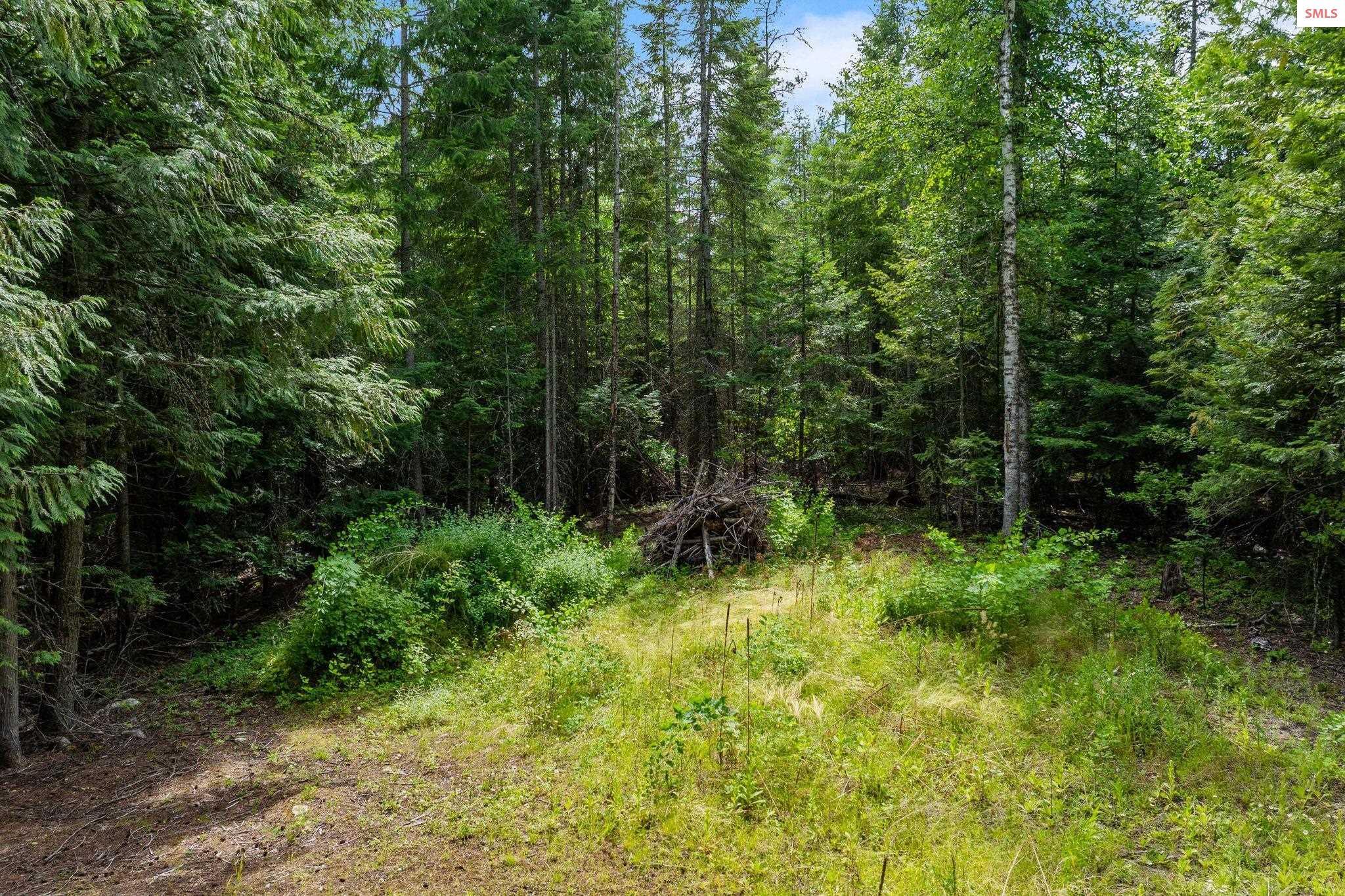Property Photo: Nka S View Ln Lot 1 ID 83864