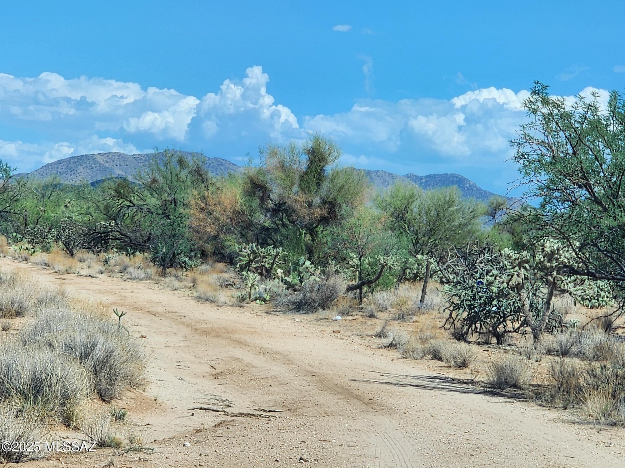 Property Photo: 16163 W Montrose Avenue 186 AZ 85736