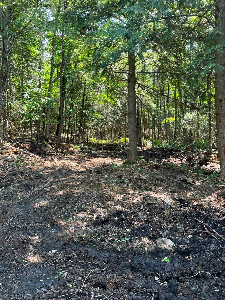 Property Photo:  Lot 29 West Court  ON K0M 1S0