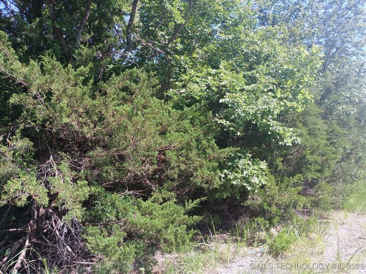 Dozer Bend  Eufaula OK 74432 photo