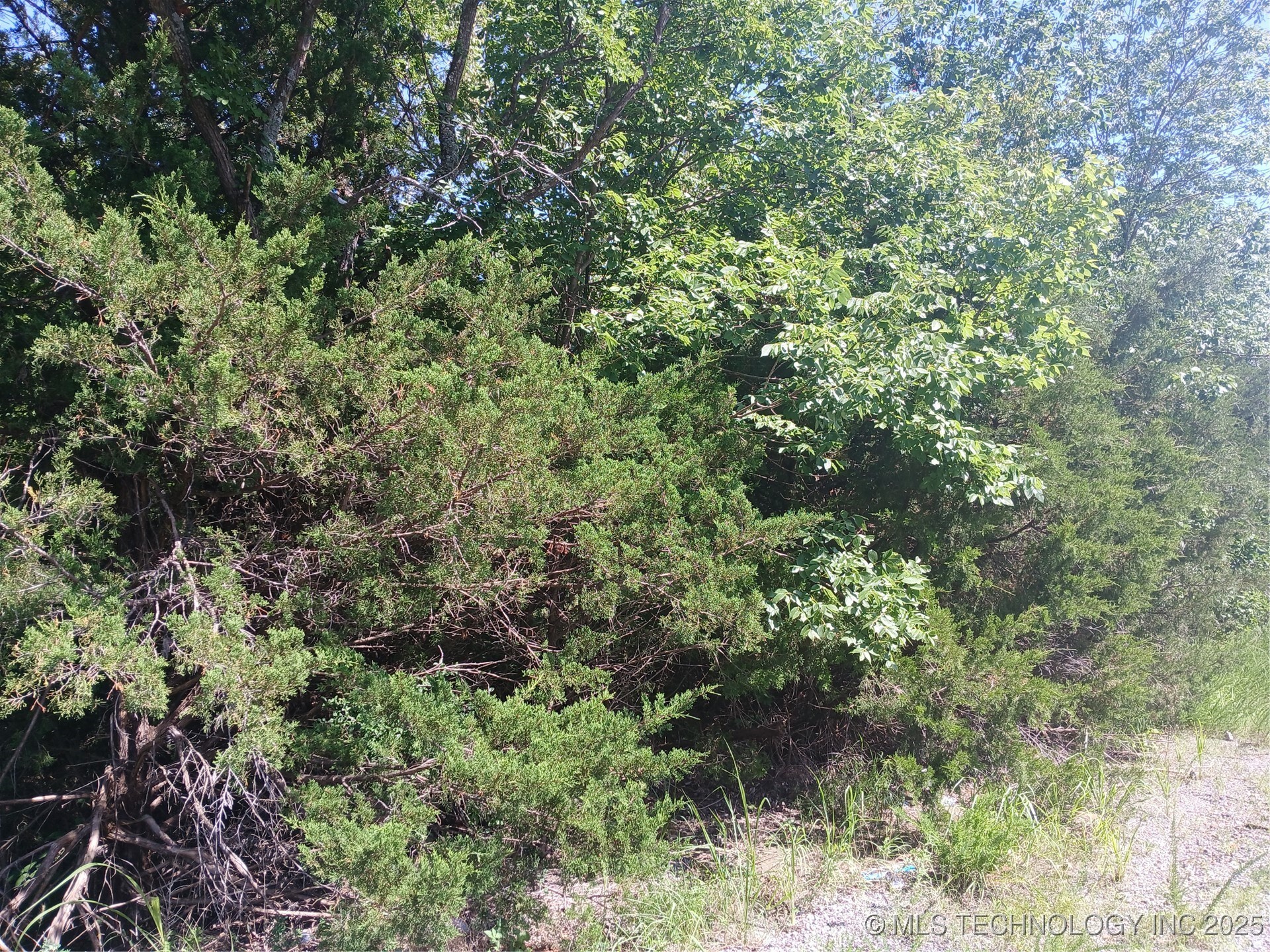 Property Photo: Dozer Bend OK 74432