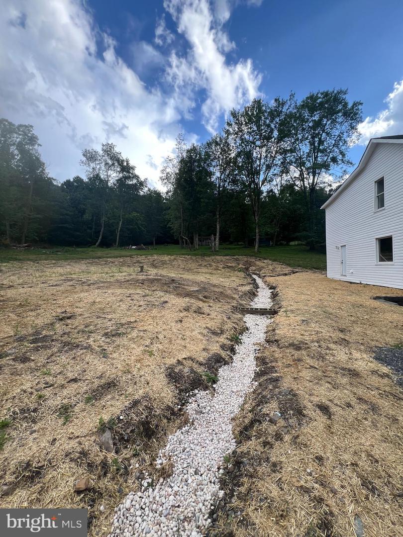 Property Photo: 19402 Old Dans Rock Road MD 21542