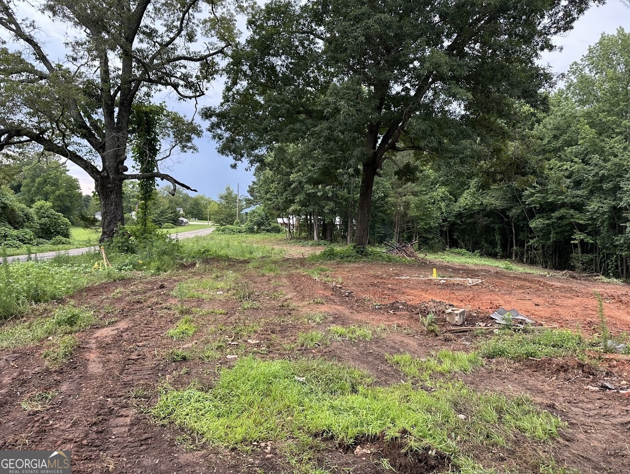 Property Photo: 0 County Road 61 AL 36274