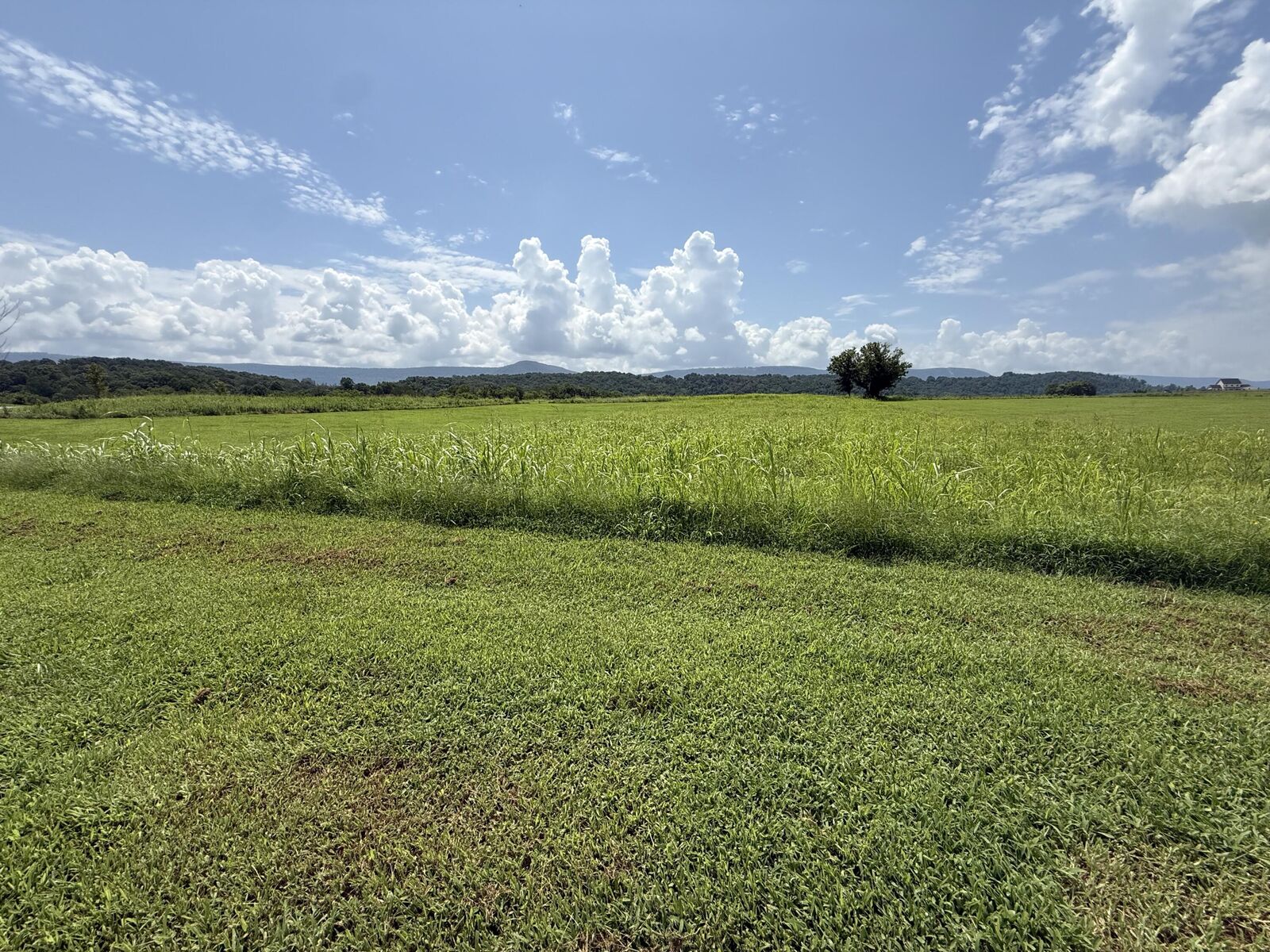 Property Photo: 0 River Ridge Drive TN 37327