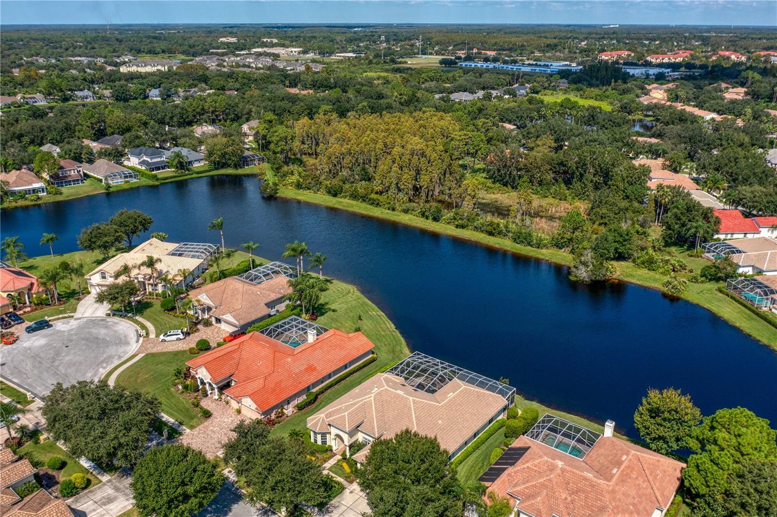 17923 Arbor Haven Drive  Tampa FL 33647 photo
