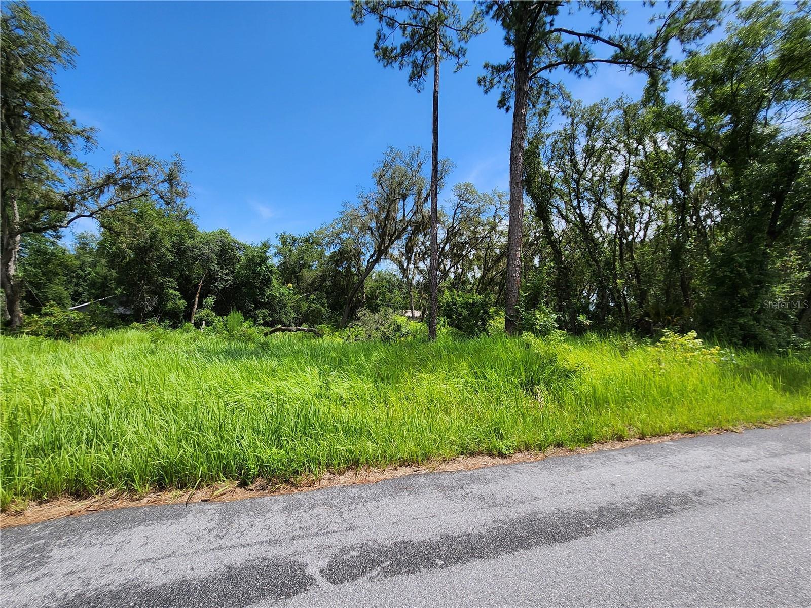 Property Photo: Tbd Oak Lane Way FL 34472