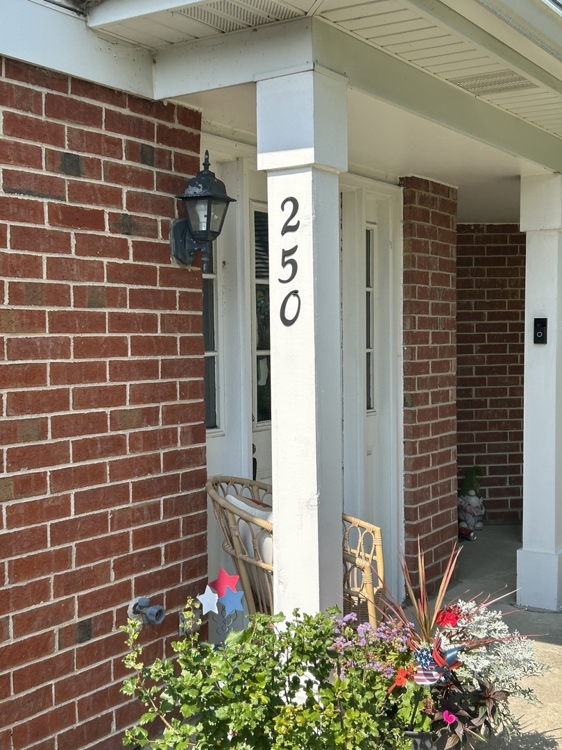 Property Photo: 250 Ashbury Lane E 250 IL 60172