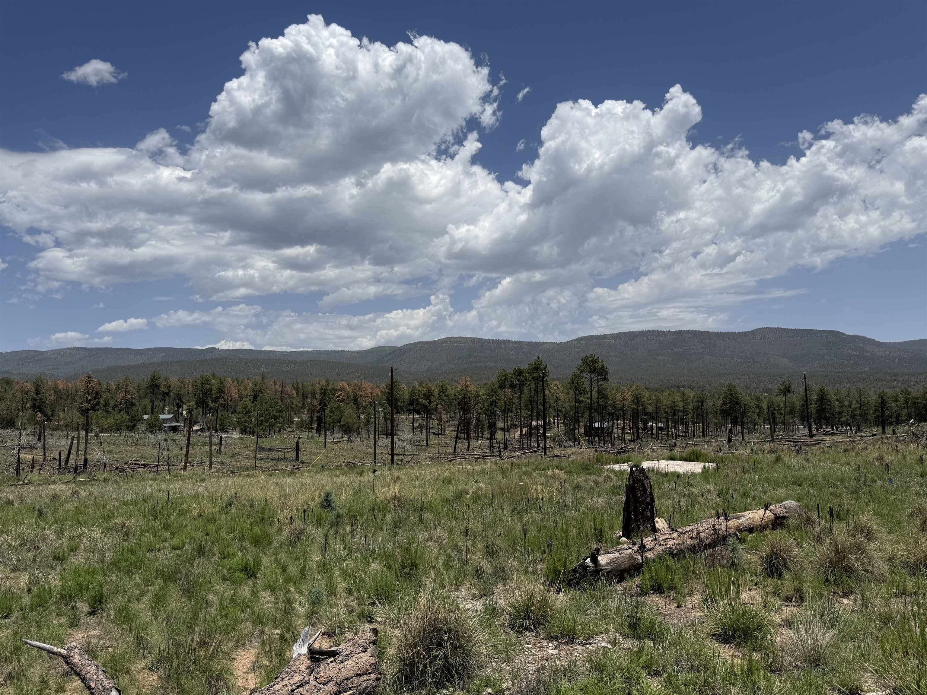Property Photo:  53 Coshacion Dr  NM 88350 