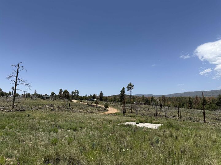 Property Photo:  53 Coshacion Dr  NM 88350 