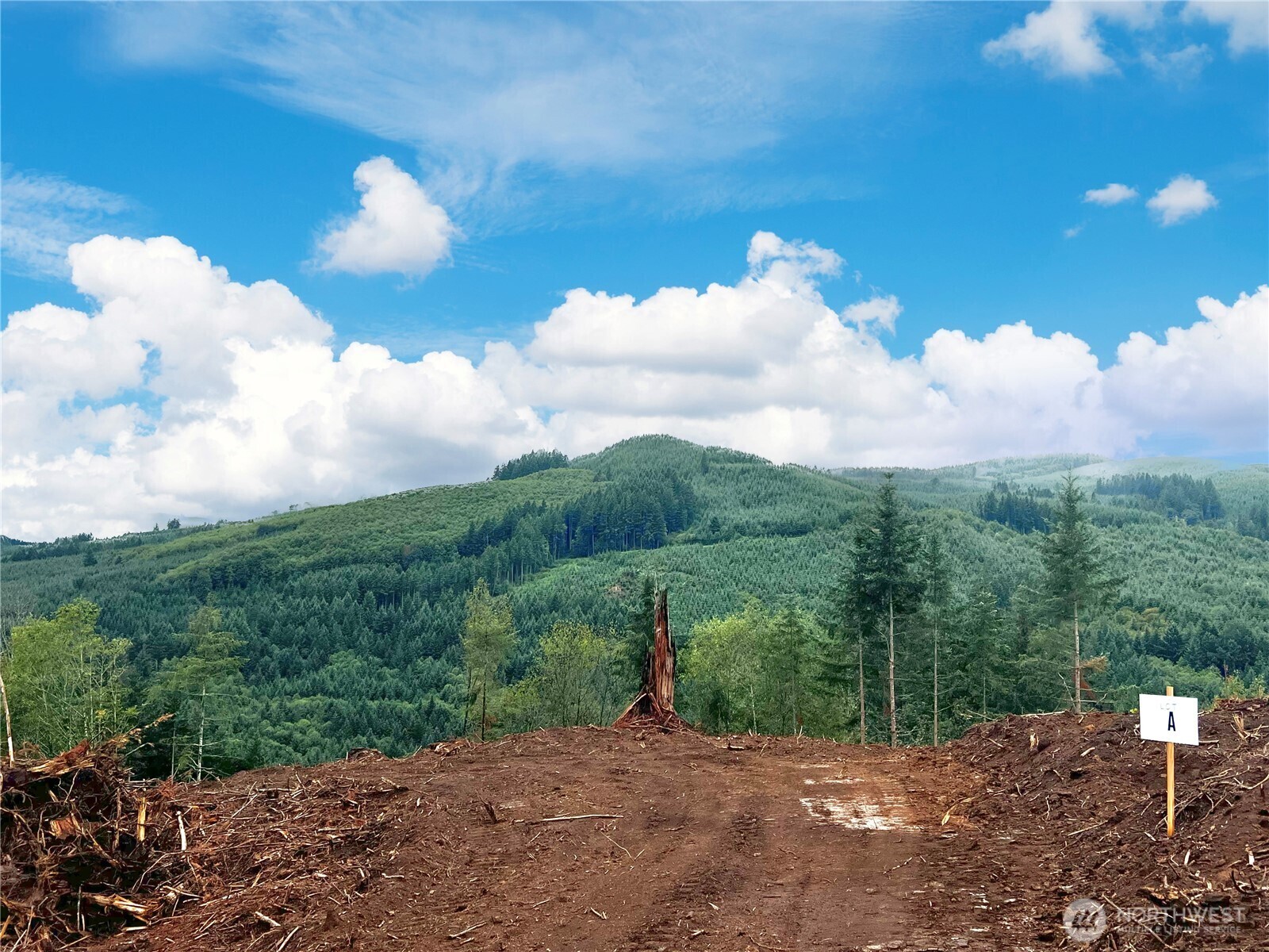Property Photo:  3727  Little Kalama River Road A  WA 98584 