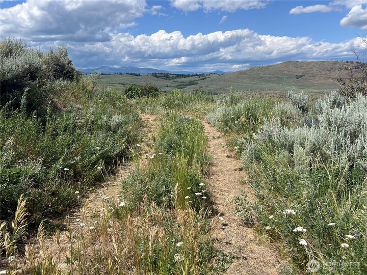 Property Photo:  0 Tbd  Ellemeham Min X Road  WA 98844 