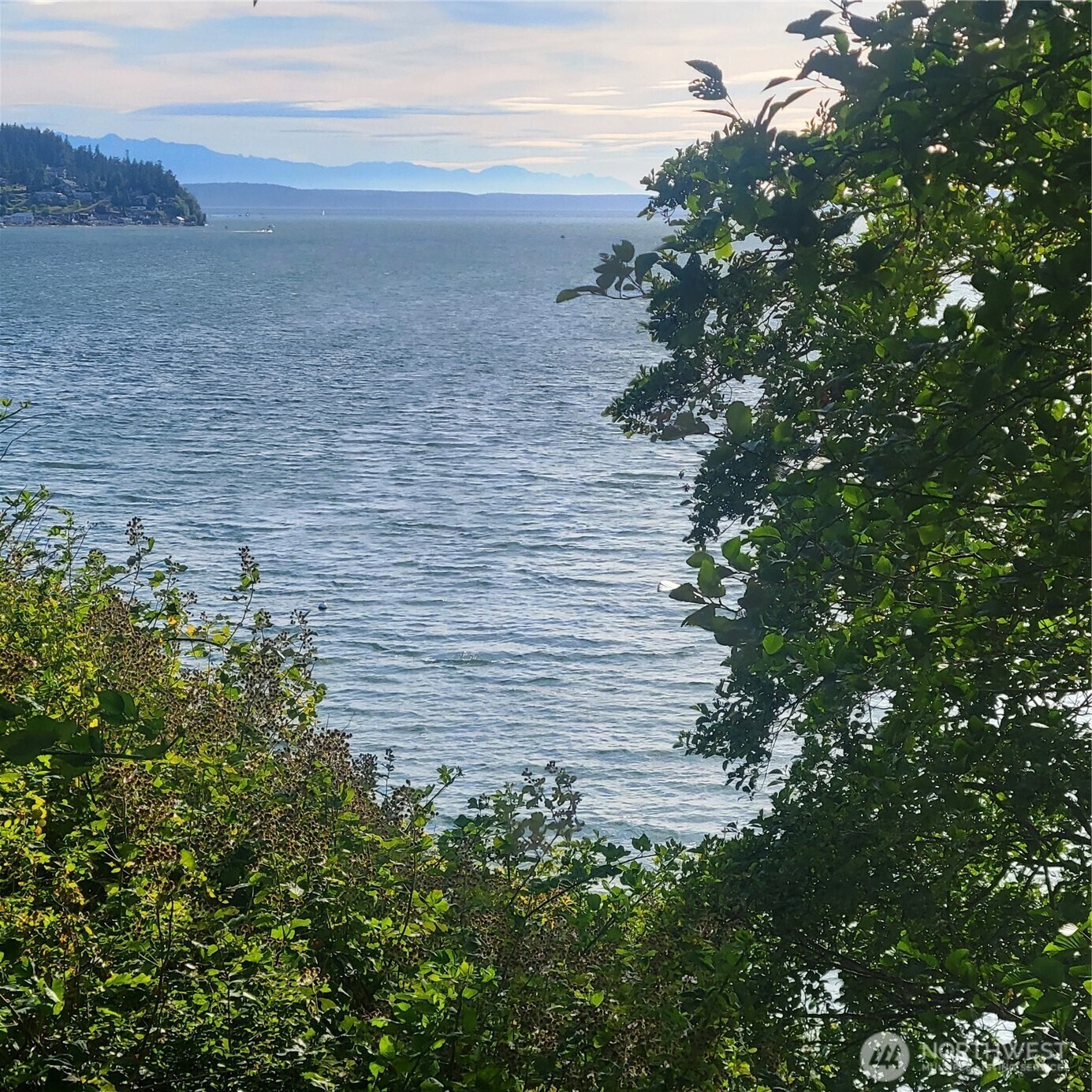 1491  Hultman Road  Camano Island WA 98282 photo