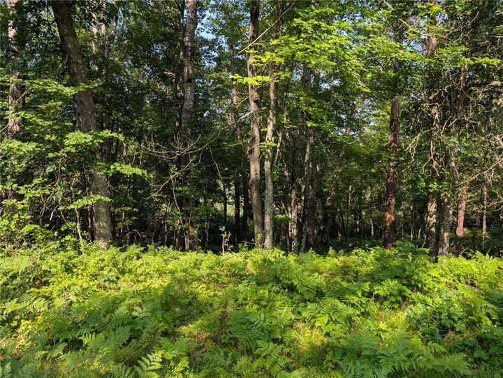 Xxx Dock Lake Road  Rusk WI 54801 photo