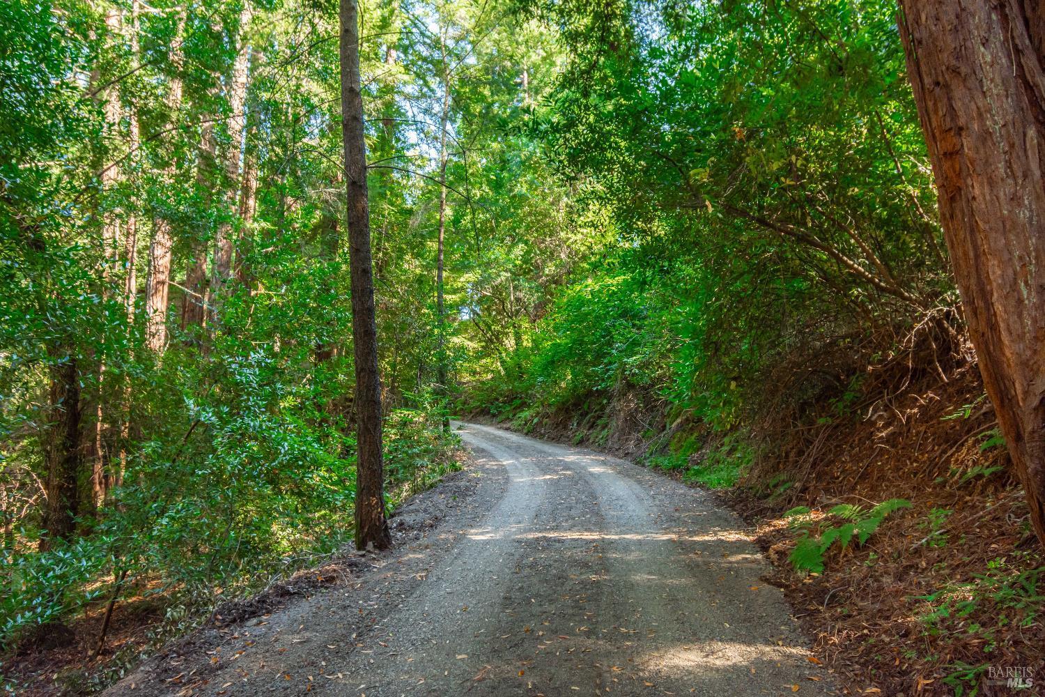 Property Photo:  4514 Dry Creek Road  CA 94558 