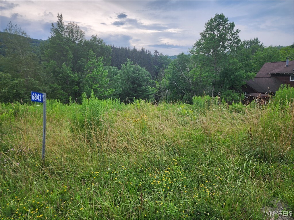 Property Photo: 6843 Springs Road NY 14731