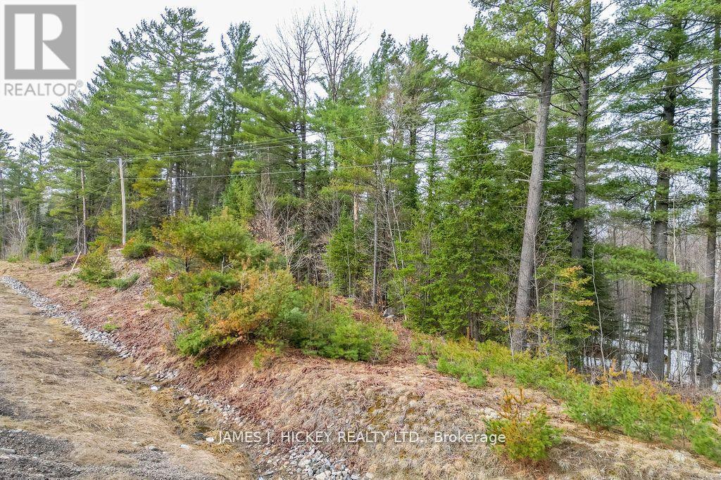 Property Photo:  0 Highway 17 Highway  ON K0J 2H0 