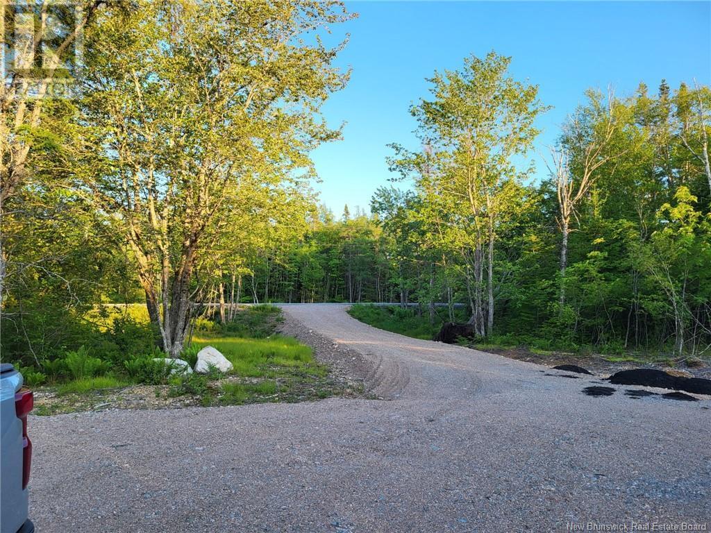 Property Photo:  Vacant Route 790  NB E5J 2R2 