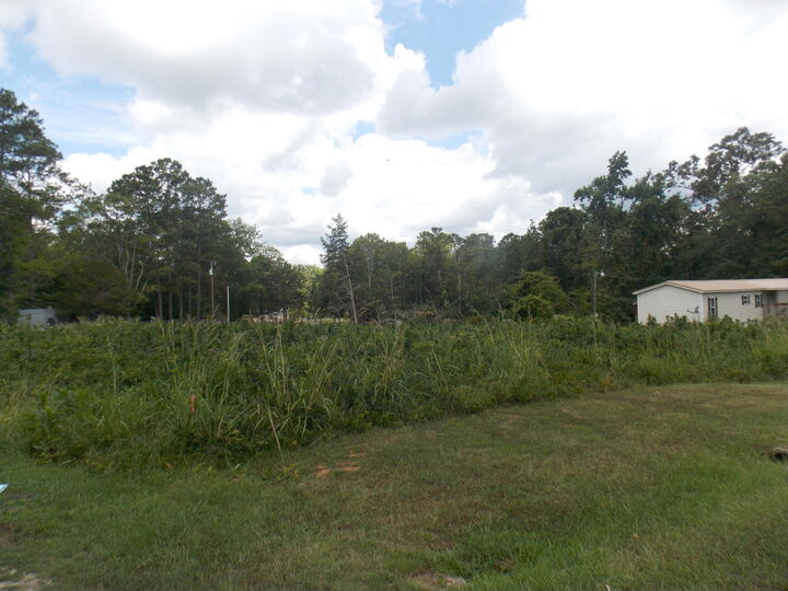 Property Photo: 00 Chamberlain Ferry Rd GA 30817