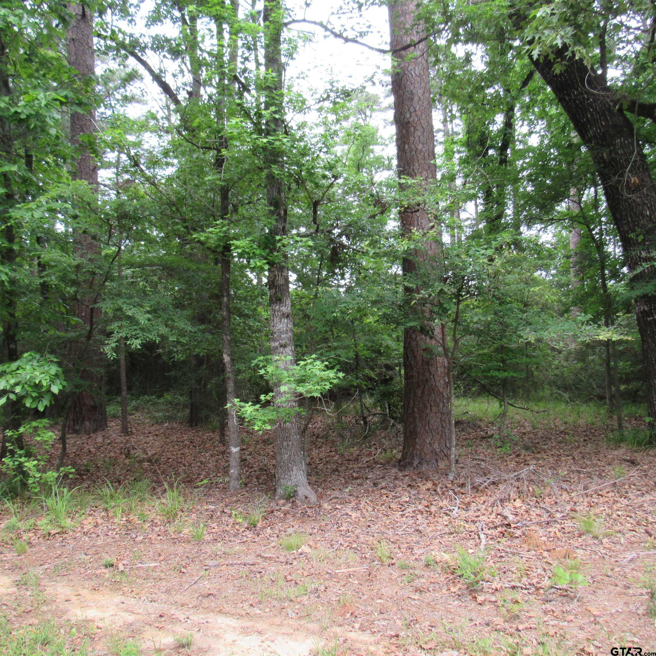 Property Photo: Tbd Rolling Ridge TX 75765