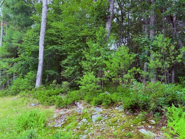 Property Photo: Lot 42 Leers Road NY 12737