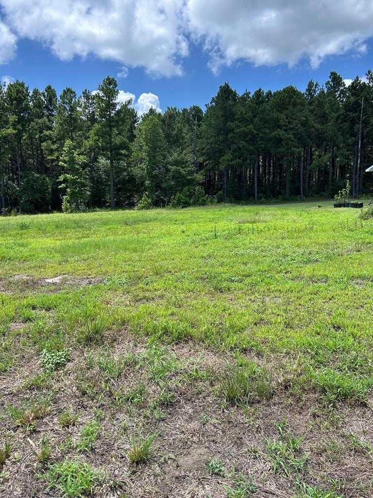 Property Photo:  R143742 (Lot19) Dena Kay Drive  TX 74904 