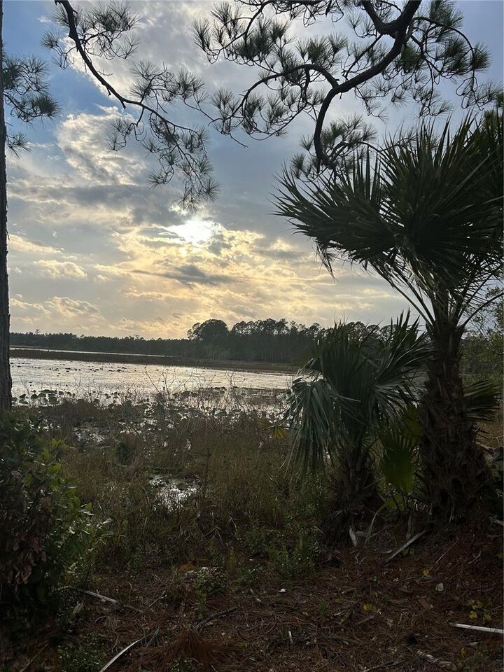 Property Photo: Jewell Drive FL 32720