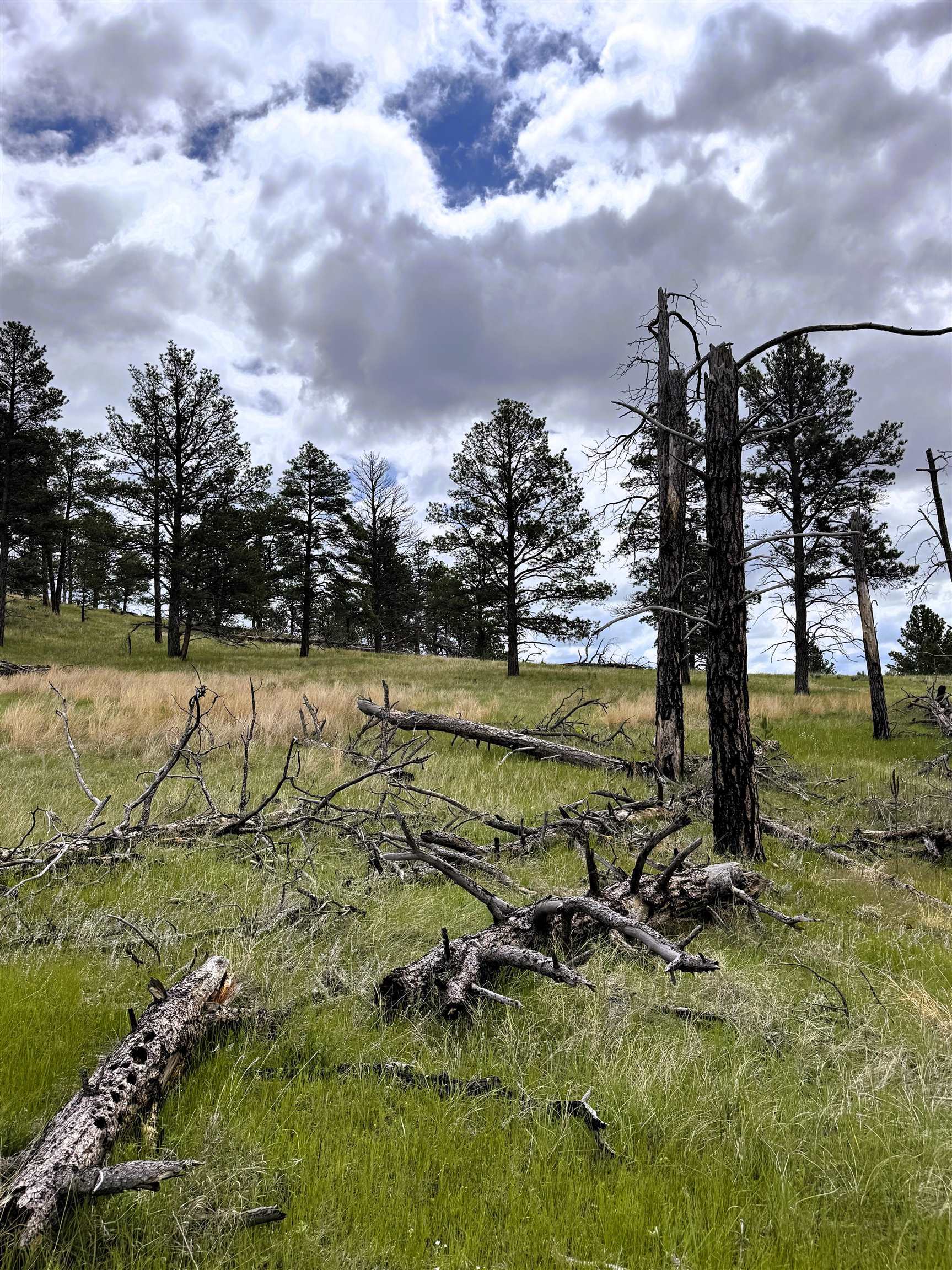 Property Photo: Tbd Gruenhagen Road WY 82721