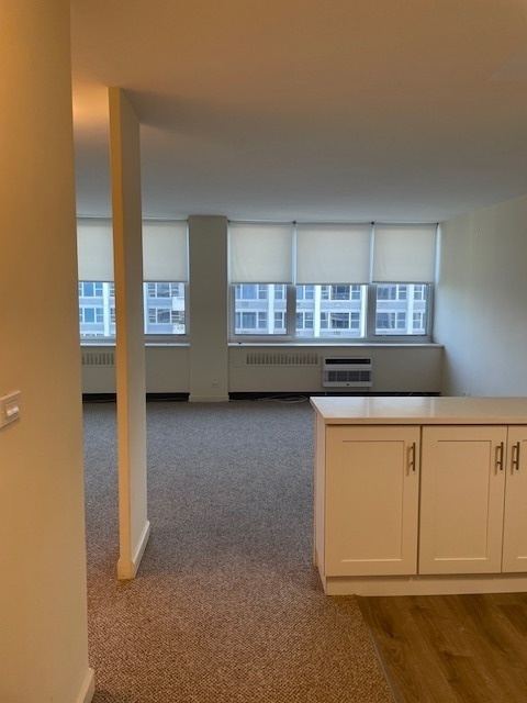 Property Photo: 4250 N Marine Drive 2925 IL 60613