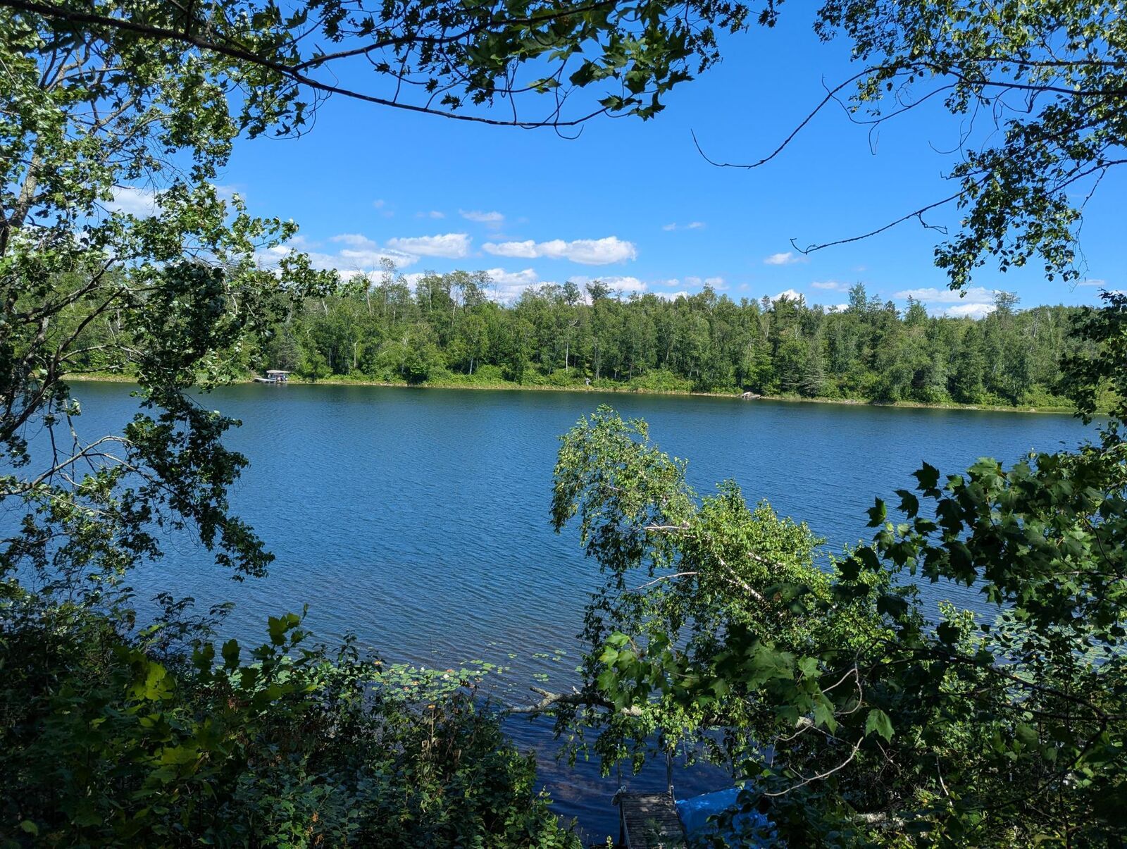 Property Photo:  34270 Moose Trail  MN 56458 