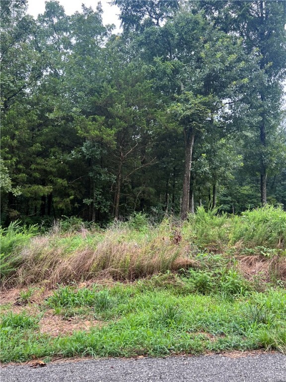 Property Photo: Lot 7 Moreton Lane AR 72714