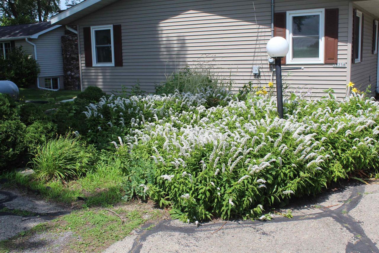 Property Photo:  N8238 Stoney Point Road  WI 53916 