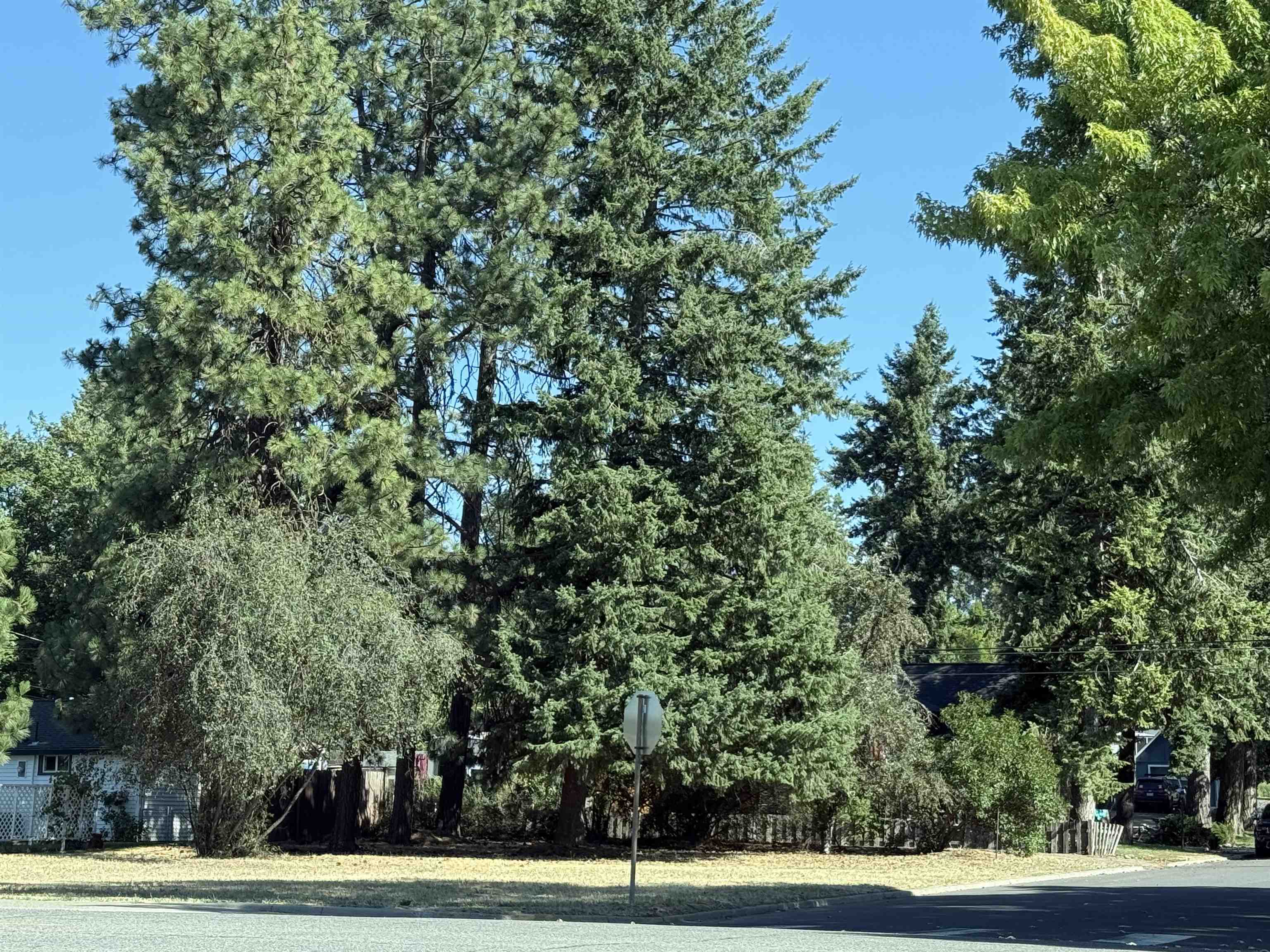 Property Photo:  Nka Salnave St  WA 99004 