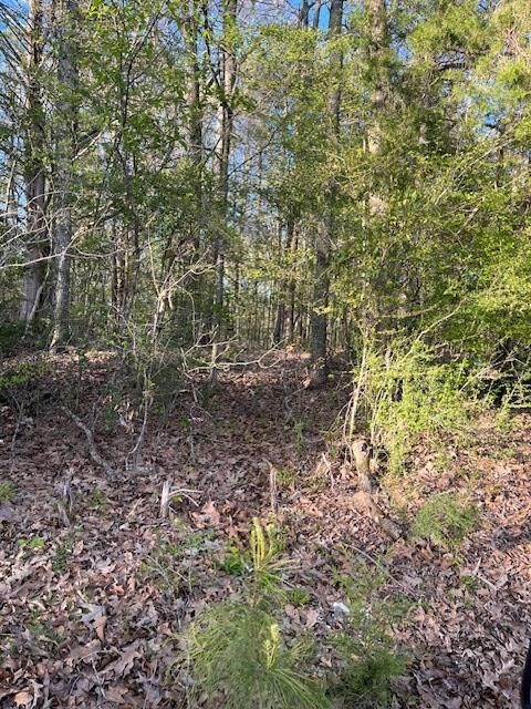 Property Photo:  00 Gibson  MS 39180 