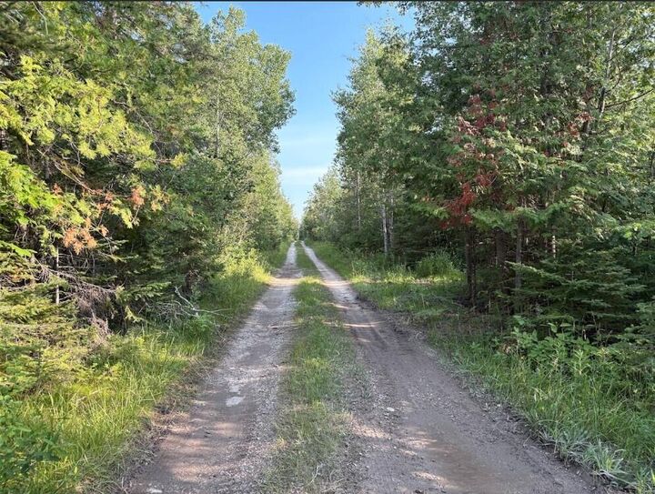 Property Photo:  West Airport Highway  MI 49779 