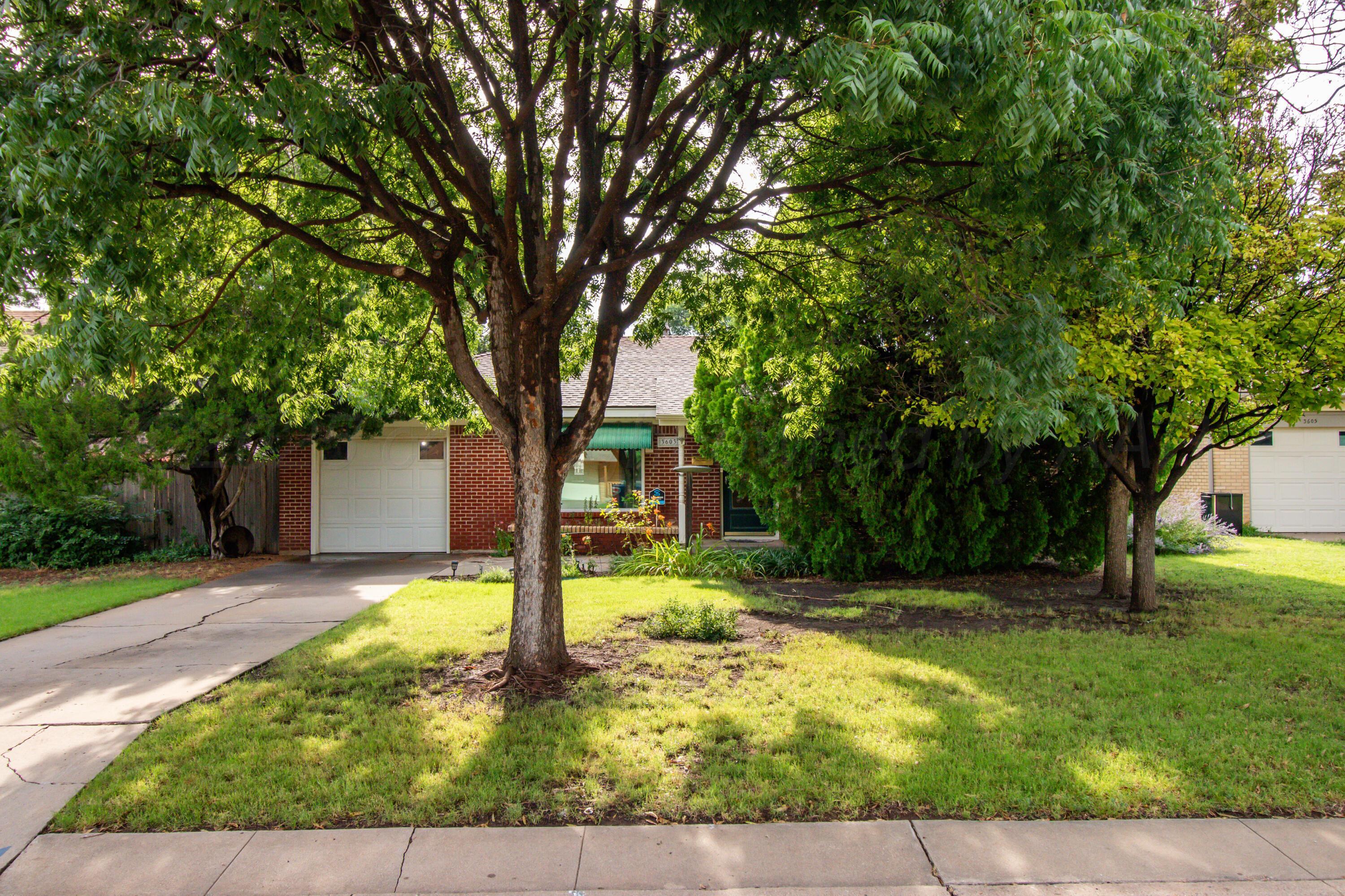 Property Photo:  3603 Lenwood Drive  TX 79109-4611 
